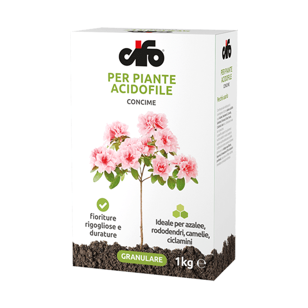 Piante Acidofile